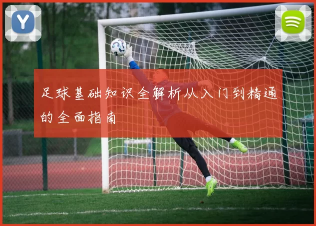 足球基础知识全解析从入门到精通的全面指南
