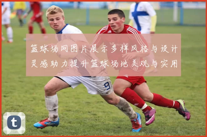 篮球场网图片展示多样风格与设计灵感助力提升篮球场地美观与实用性