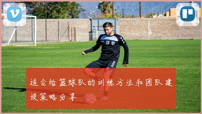 适合给篮球队的训练方法和团队建设策略分享