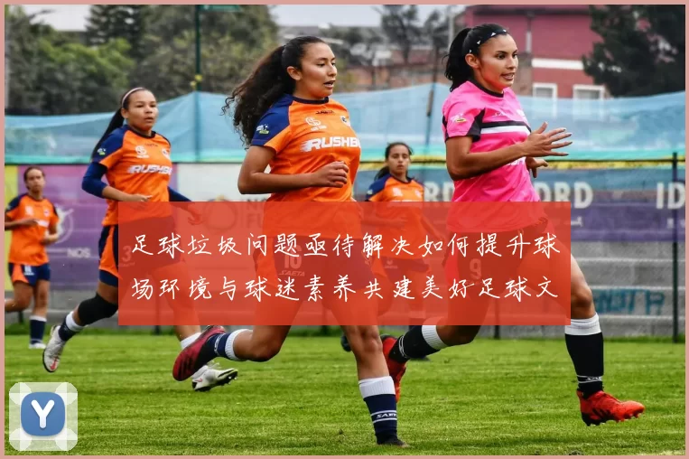 足球垃圾问题亟待解决如何提升球场环境与球迷素养共建美好足球文化