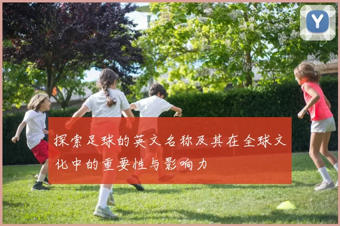 探索足球的英文名称及其在全球文化中的重要性与影响力