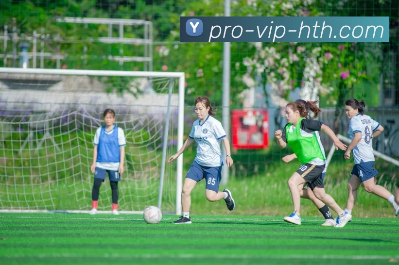 华体会网页版平台生态图